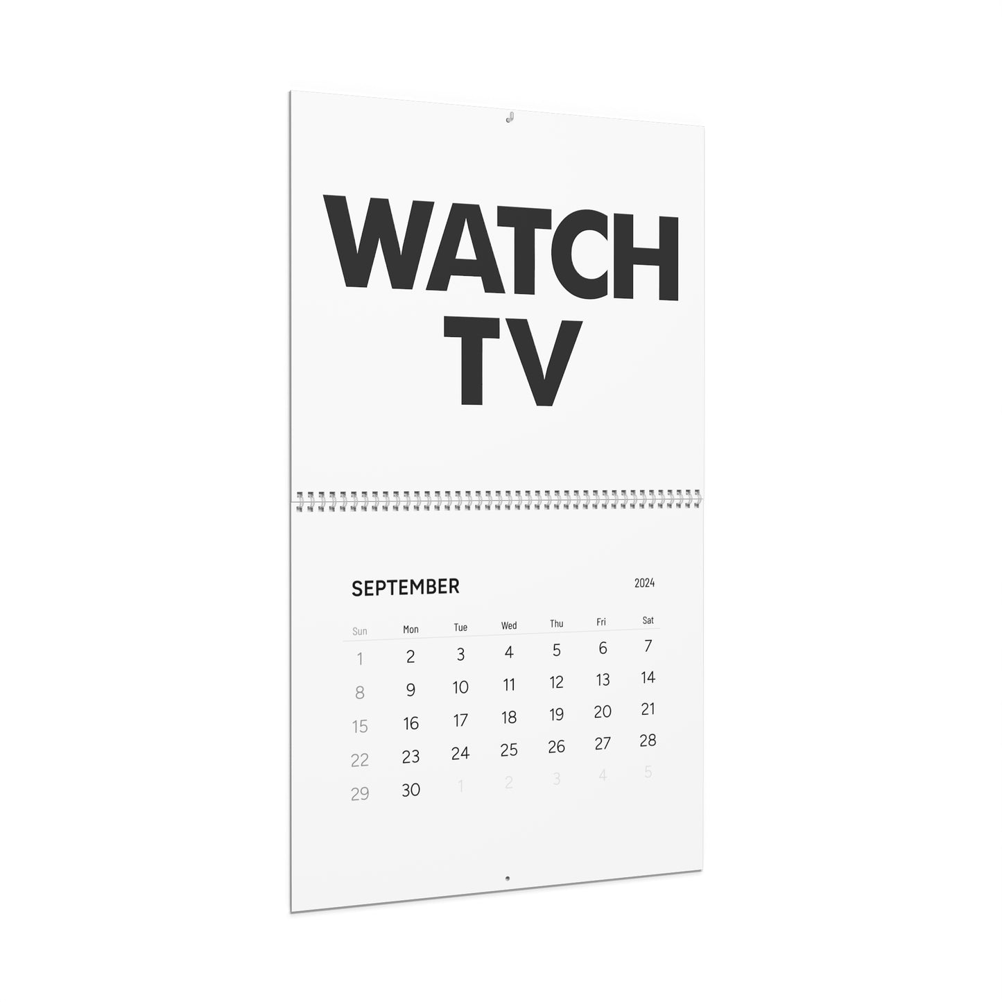 They Schedule 2024 Wall Calendar