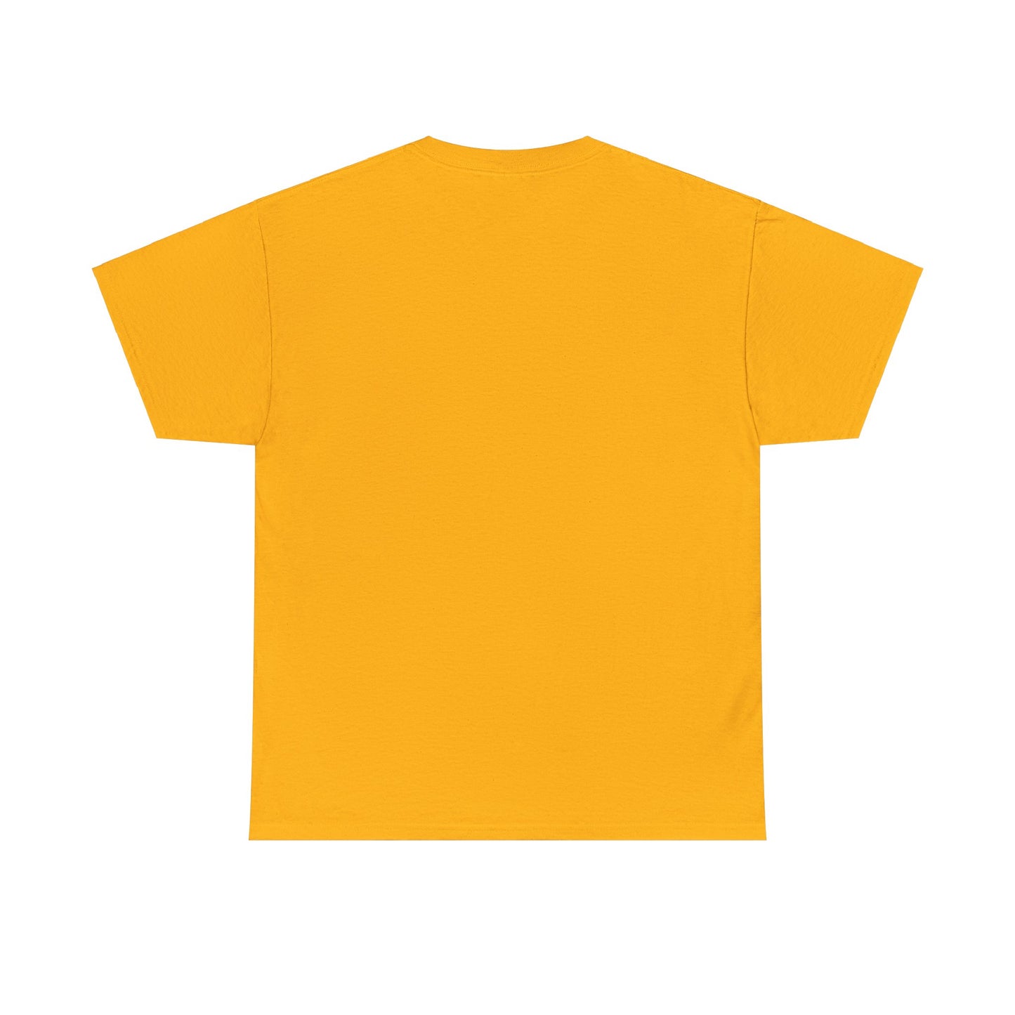 UNLUC-EES t-shirt