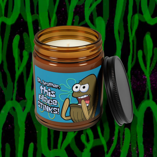 Oh Brother, This Place Stinks scented soy candle