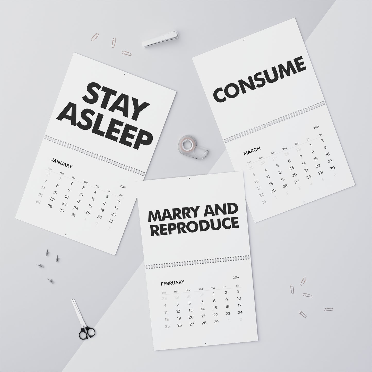 They Schedule 2024 Wall Calendar