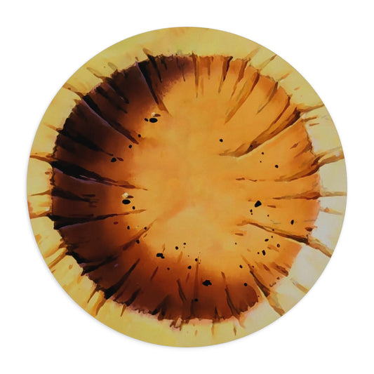 DBZ Nap round mousepad