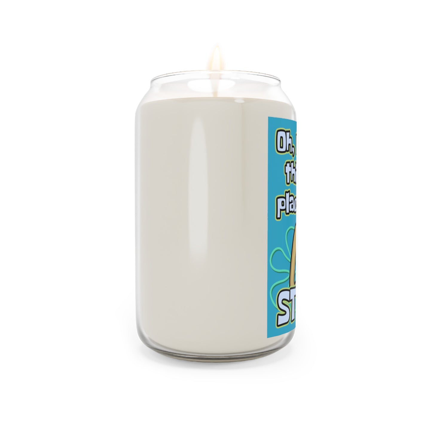 Oh Brother, This Place Stinks LARGE scented candle