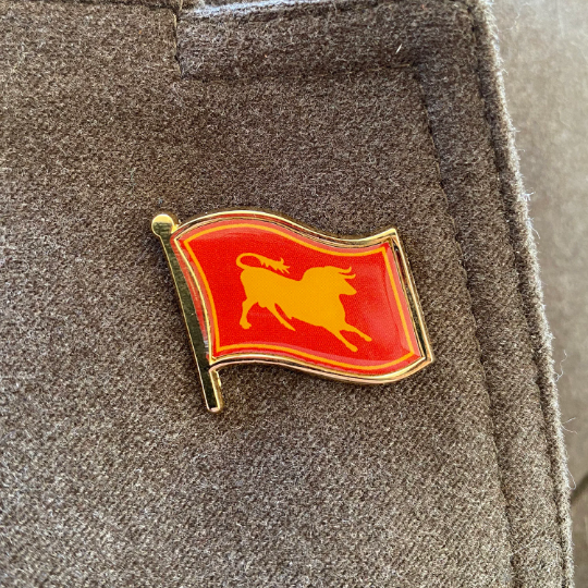 Wasteland Factions Flags 1.25" Die-Struck/Digital Offset Pin