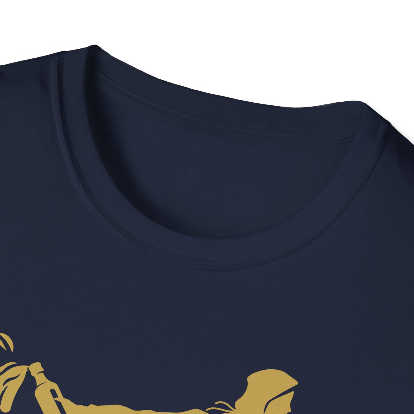 FDT t-shirt