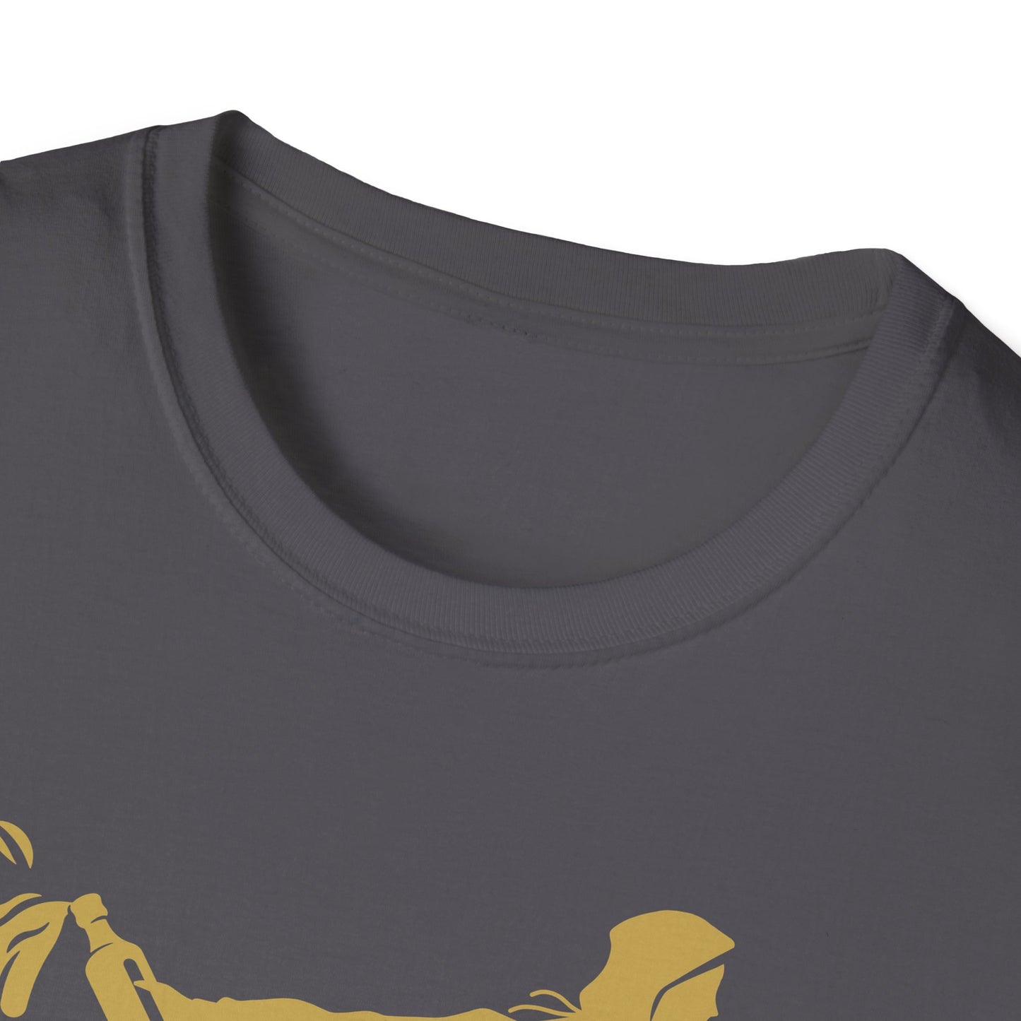 FDT t-shirt