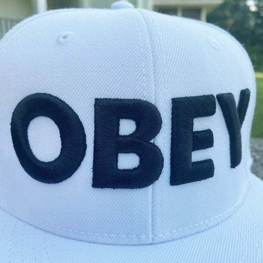 OBEY snapback hat