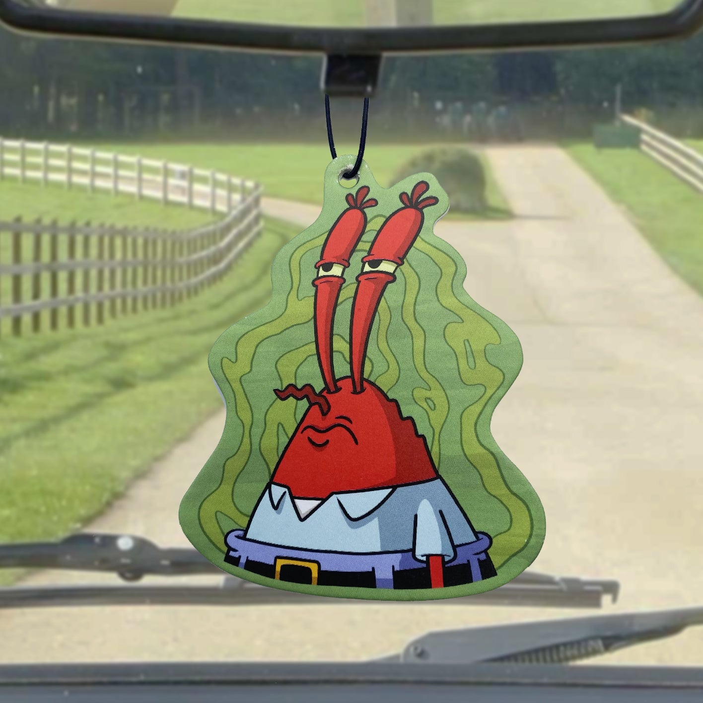 That Smelly Smell FOREST scented hanging air freshener