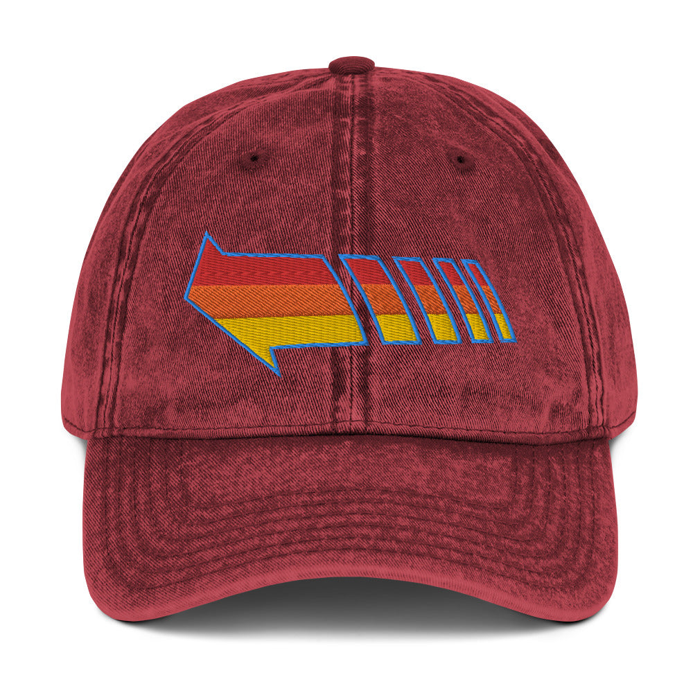 Send You Back vintage dad hat