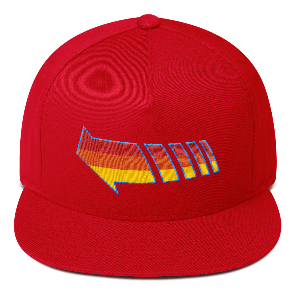 Send You Back snapback