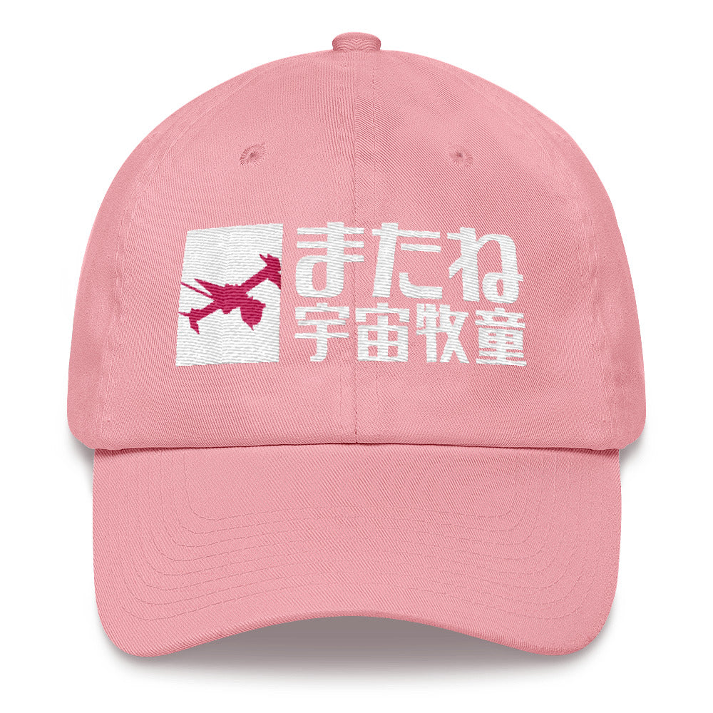 See You Space Cowboy dad hat