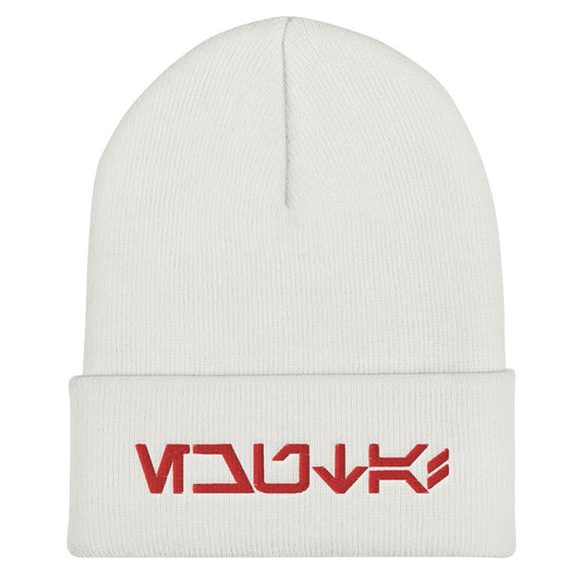 Echuta! (Aurebesh) beanie