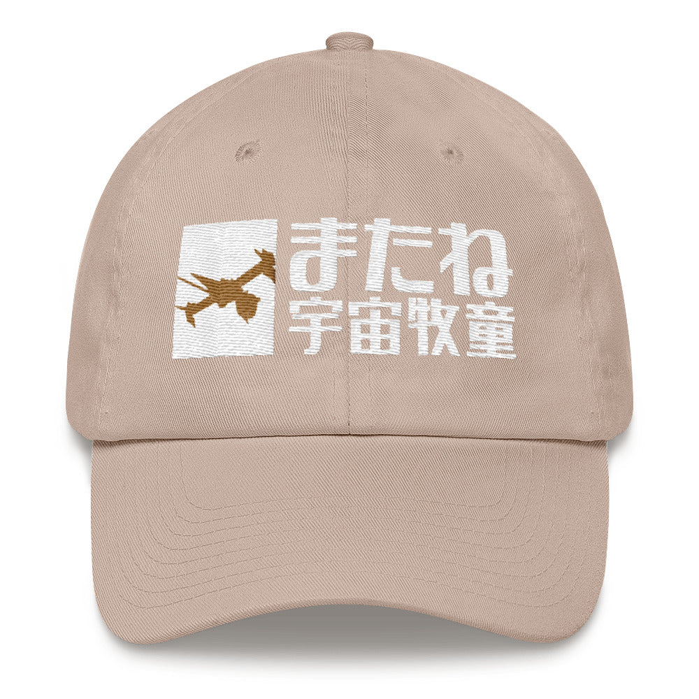 See You Space Cowboy dad hat