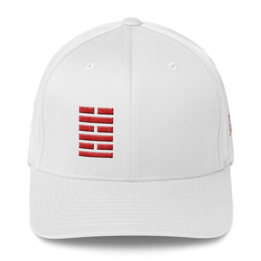 Silent and Rival Ninja flexfit hat