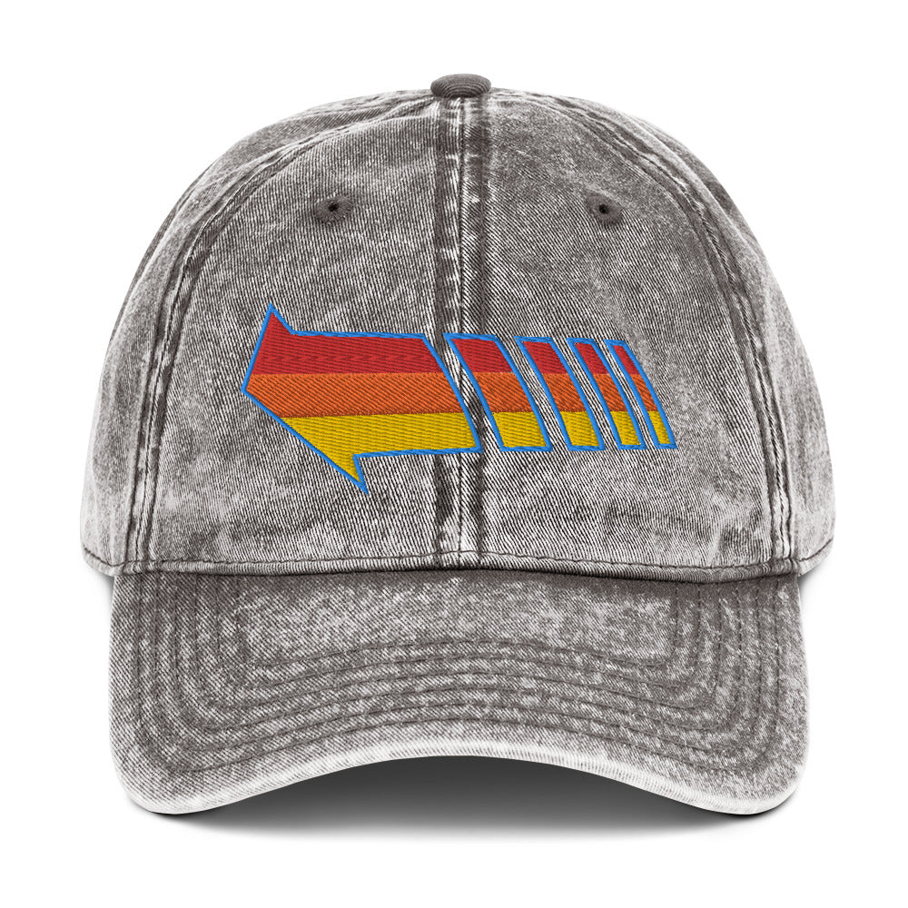 Send You Back vintage dad hat
