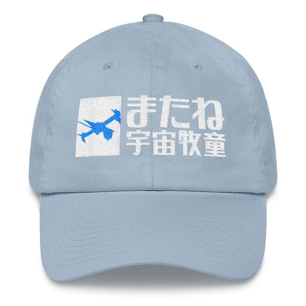 See You Space Cowboy dad hat