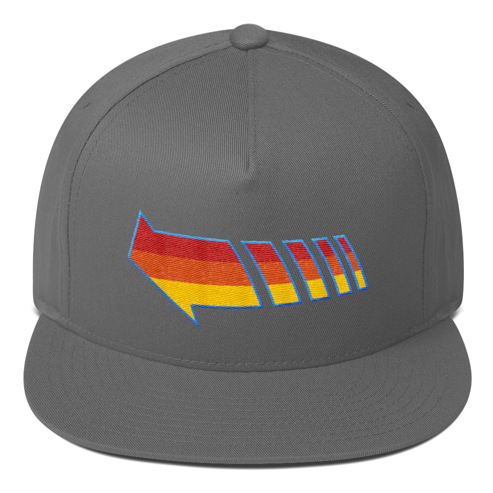 Send You Back snapback