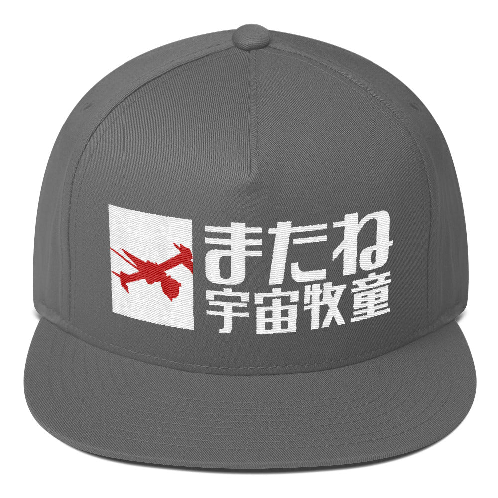 See You Space Cowboy snapback hat