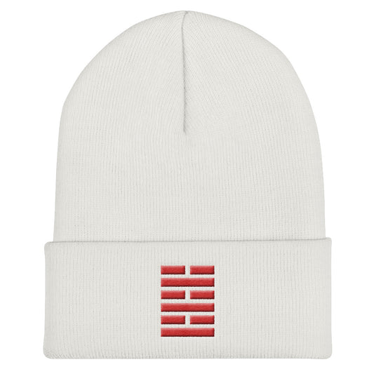 Silent & Rival Ninja beanie
