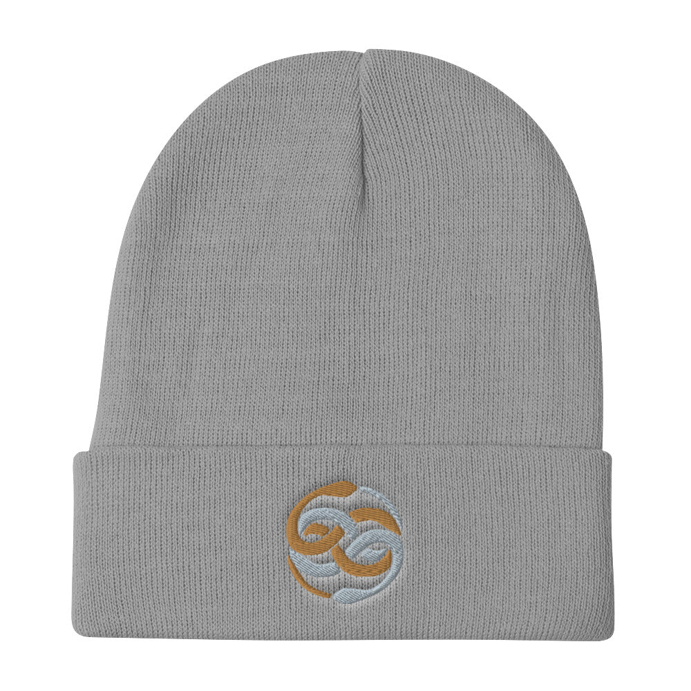 Auryn beanie
