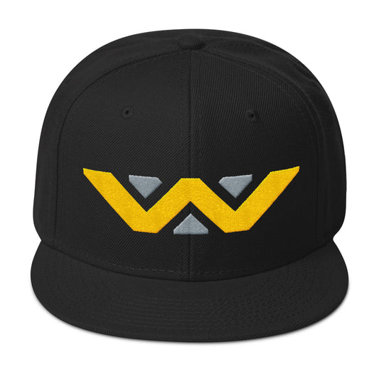 Building Better Worlds snapback hat