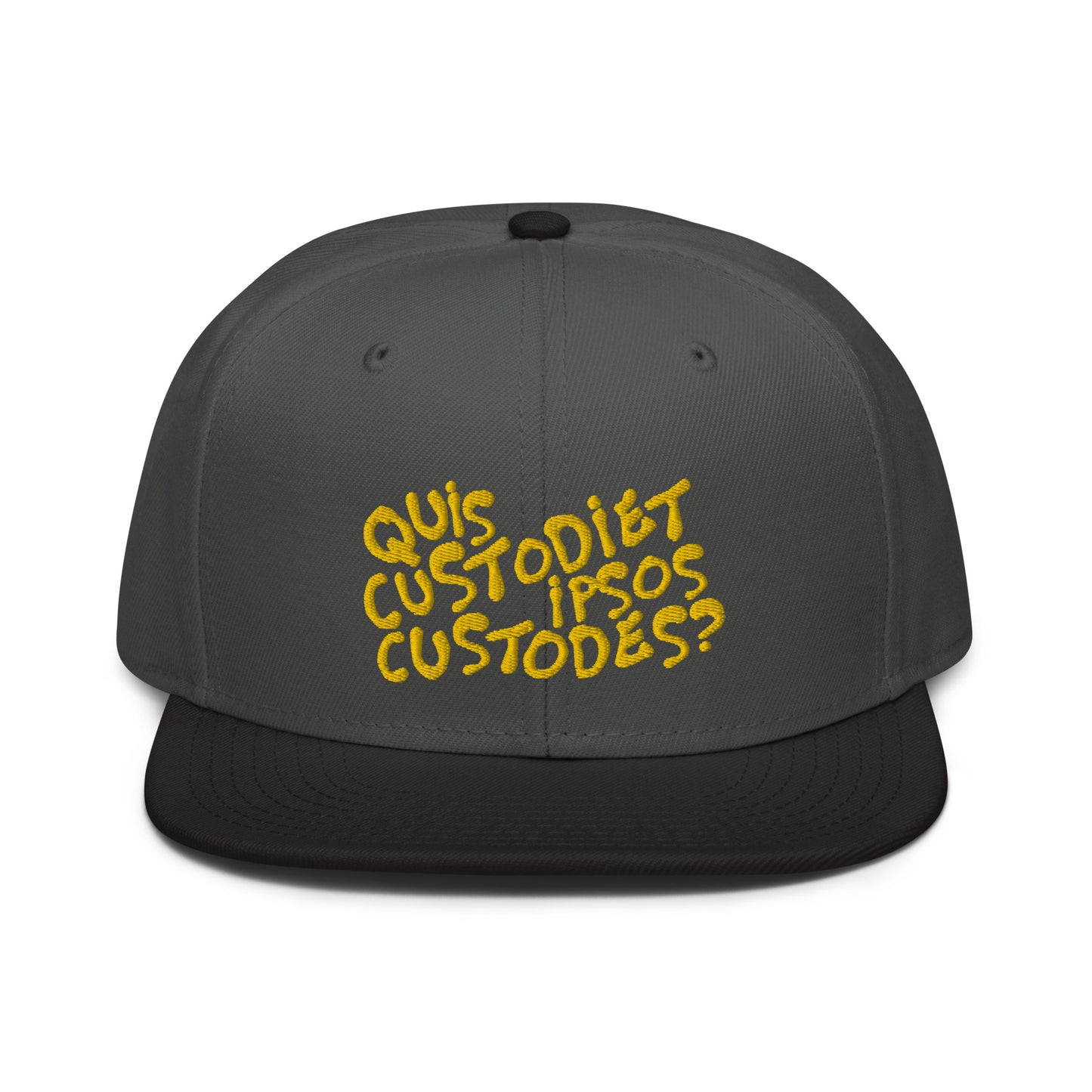 Quis custodiet ipsos custodes? snapback hat
