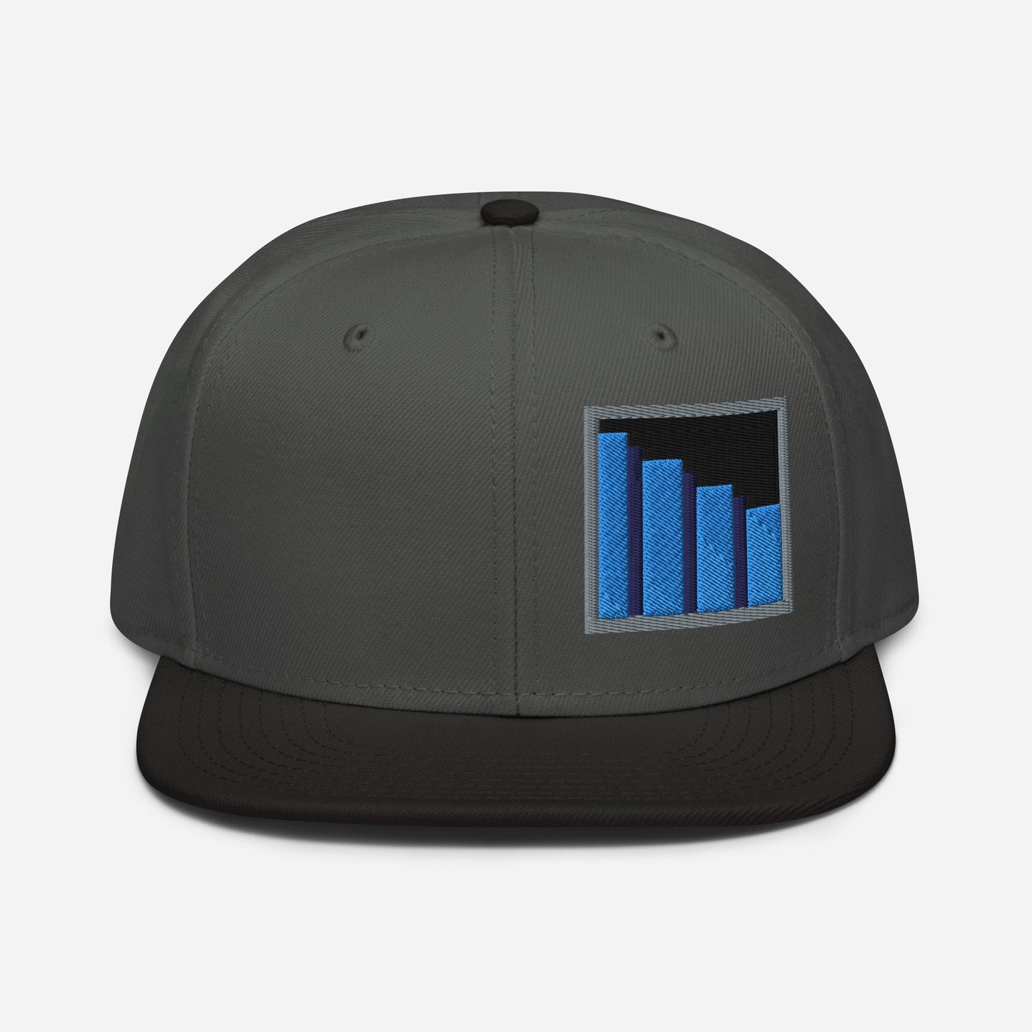 It's a Secret To Everyone snapback hat