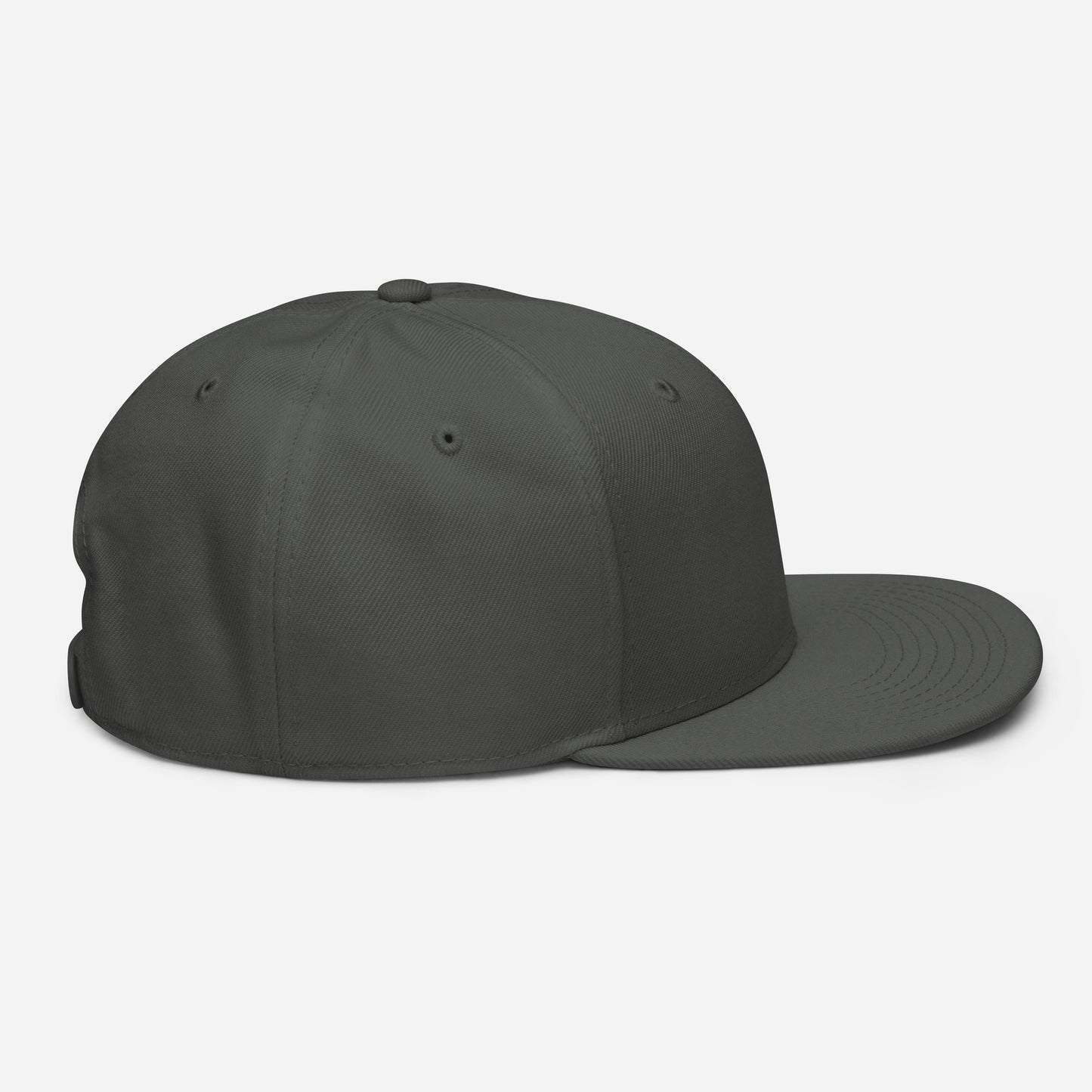Rupee snapback hat