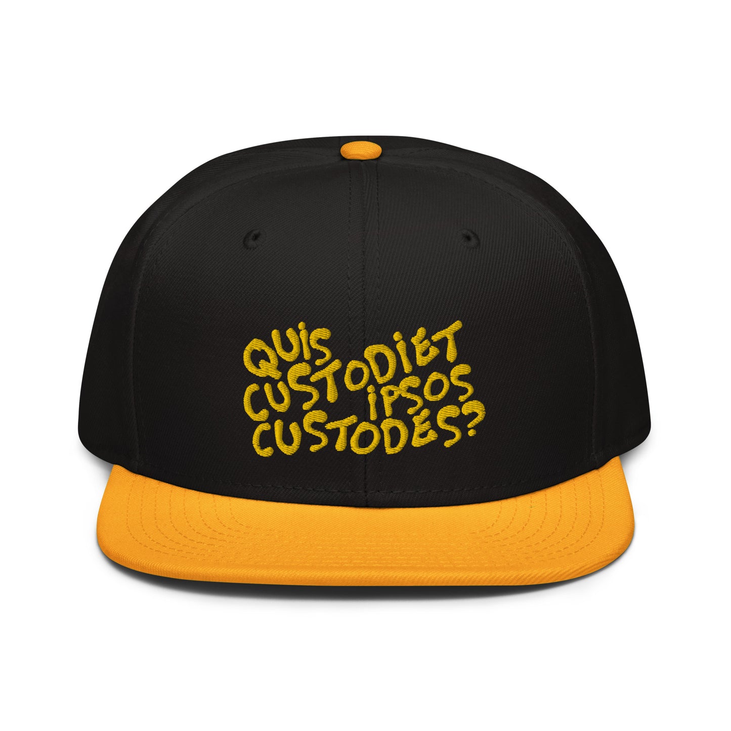 Quis custodiet ipsos custodes? snapback hat