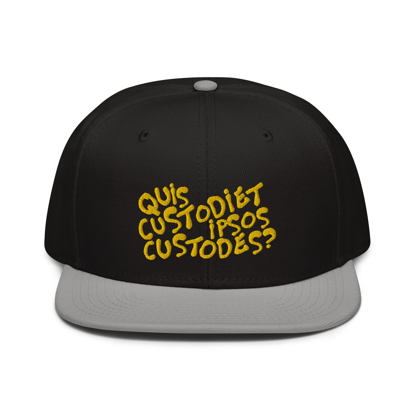 Quis custodiet ipsos custodes? snapback hat