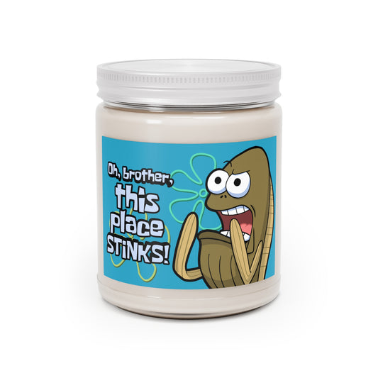 Oh Brother, This Place Stinks scented candle