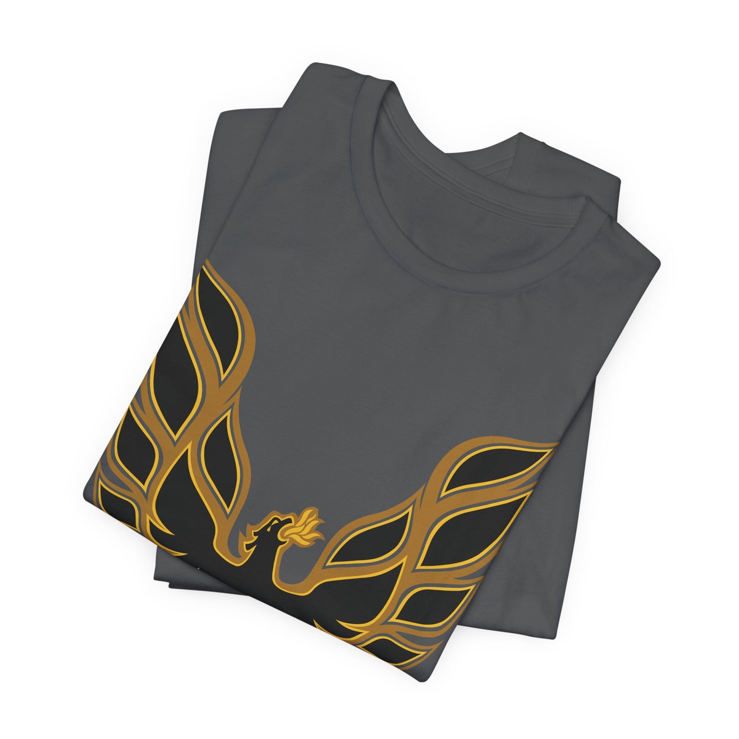 Hot Wings t-shirt