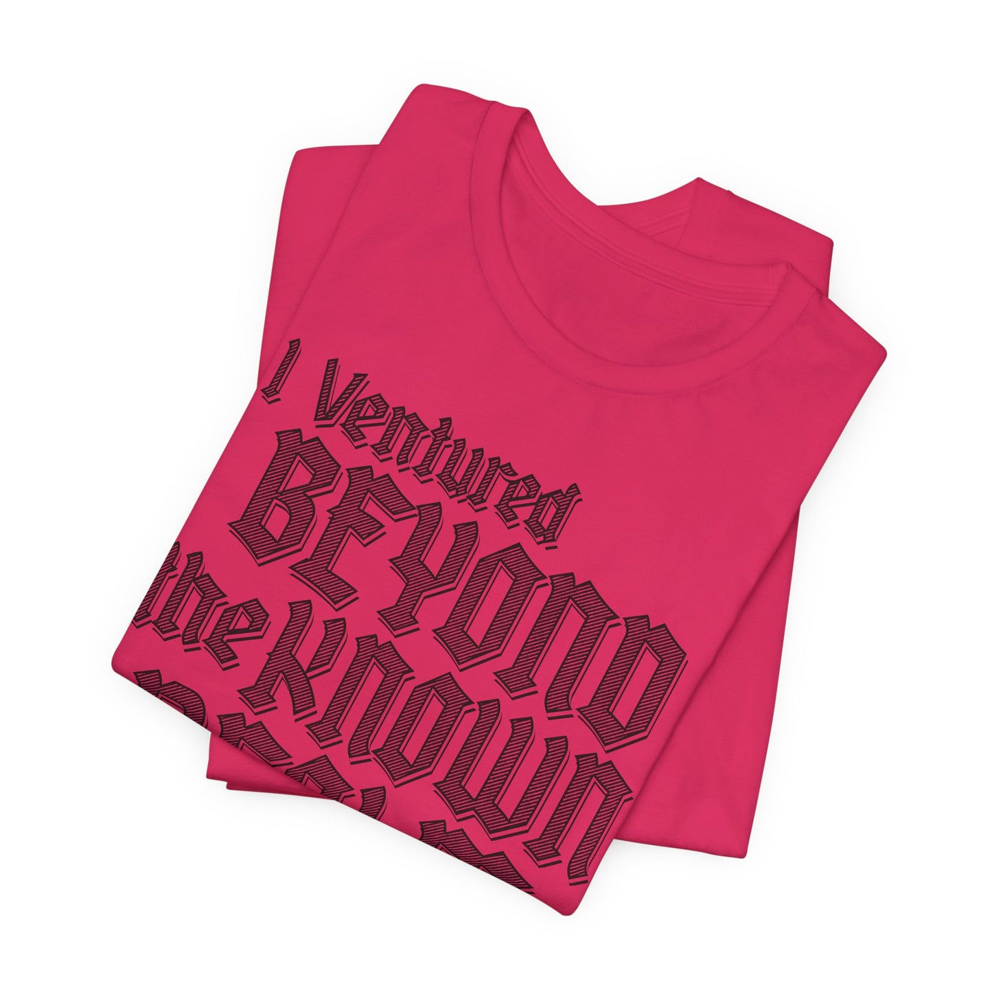 I Ventured Beyond the Known Realm For This? t-shirt