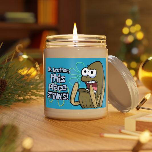 Oh Brother, This Place Stinks scented candle