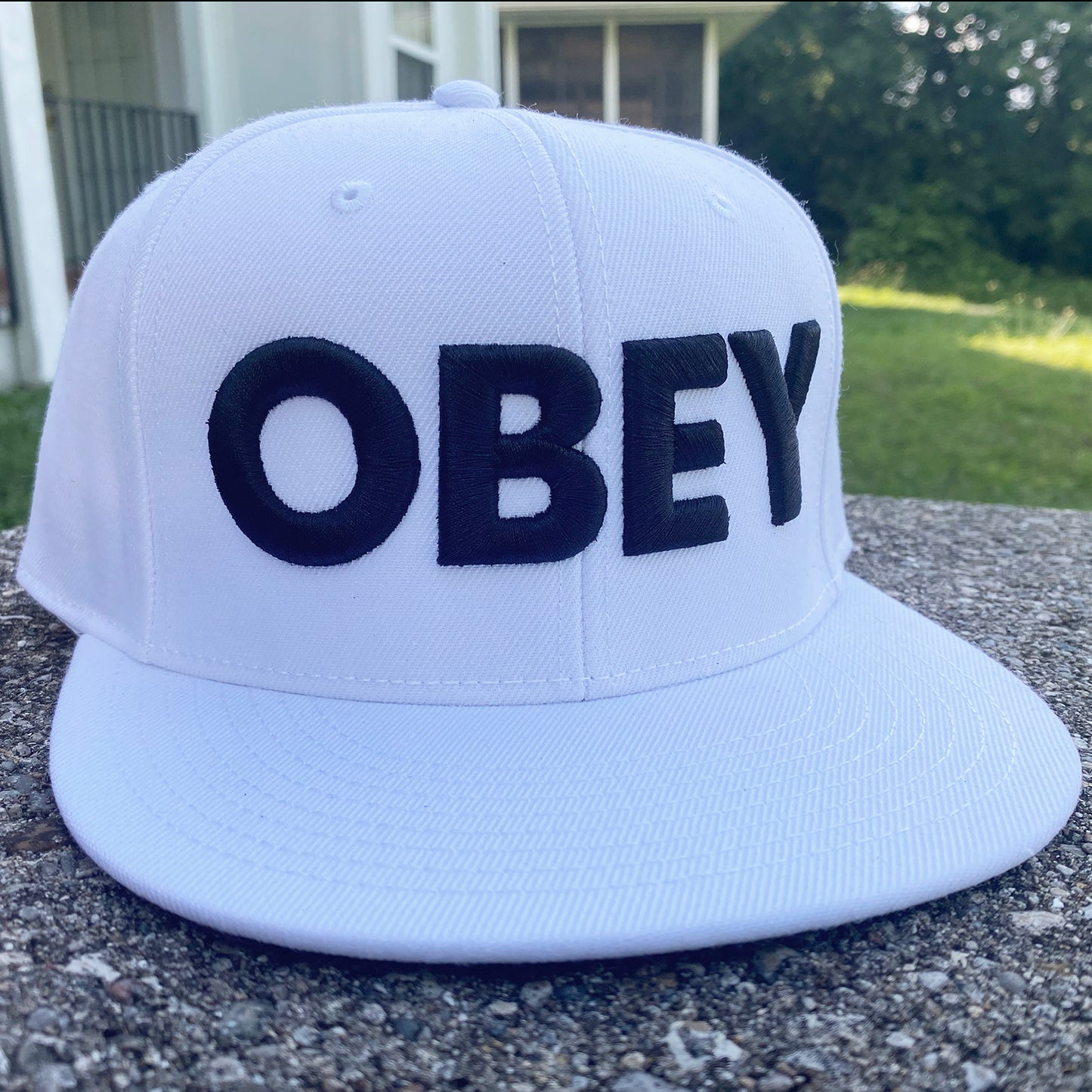 OBEY snapback hat