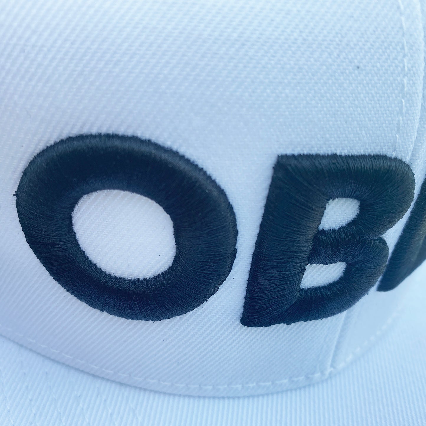 OBEY snapback hat