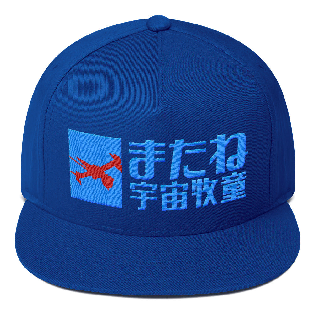 See You Space Cowboy snapback hat