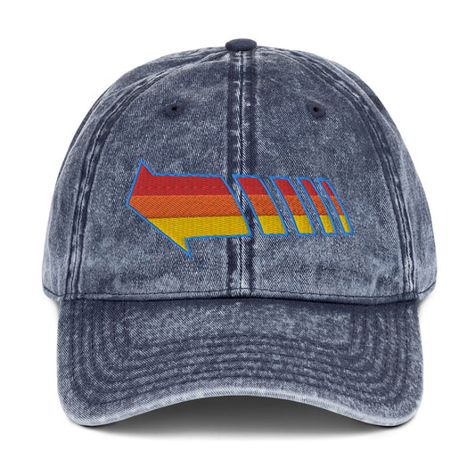 Send You Back vintage dad hat