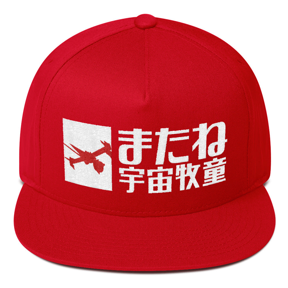 See You Space Cowboy snapback hat