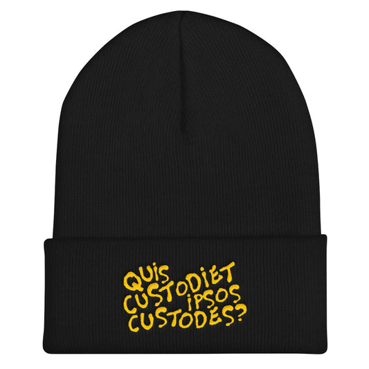 Quis custodiet ipsos custodes? beanie