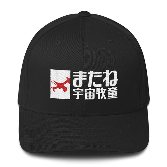 See You Space Cowboy flexfit hat