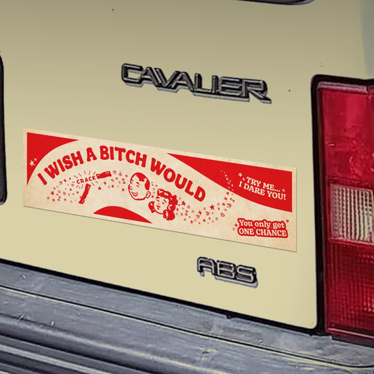Be Careful Who You F*ck With bumper sticker