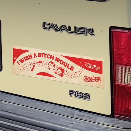 Be Careful Who You F*ck With 10" x 3" bumper magnet