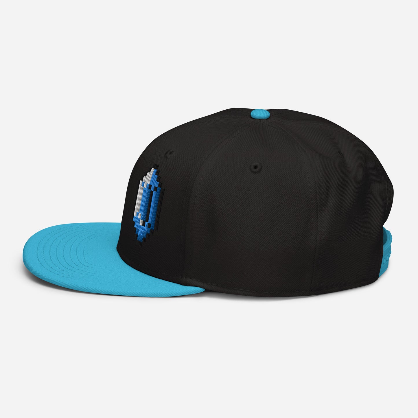 Rupee snapback hat