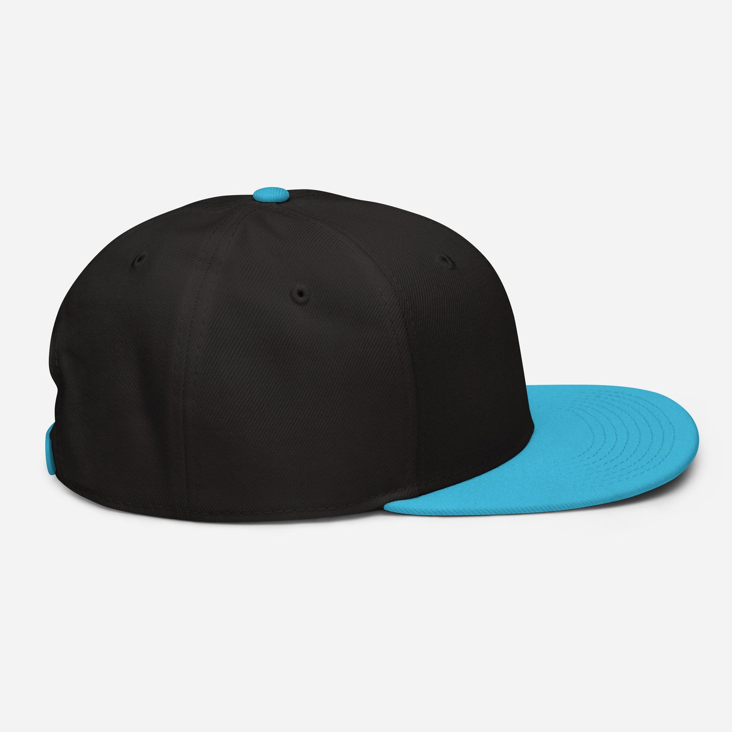 Rupee snapback hat