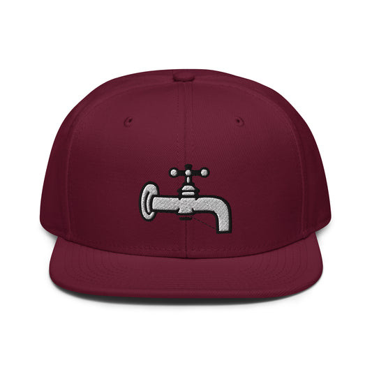 Water Works snapback hat
