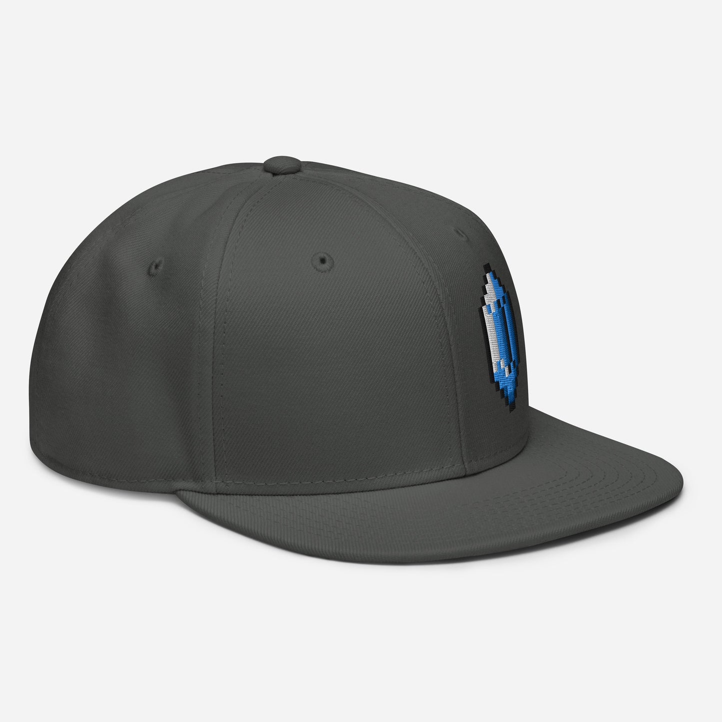 Rupee snapback hat