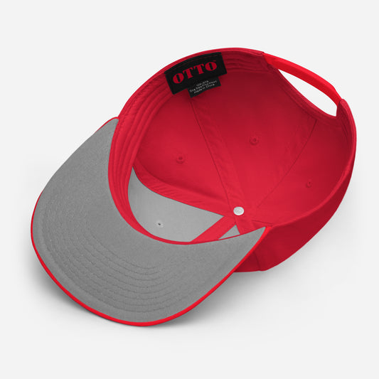 Springfield Isotopes snapback hat