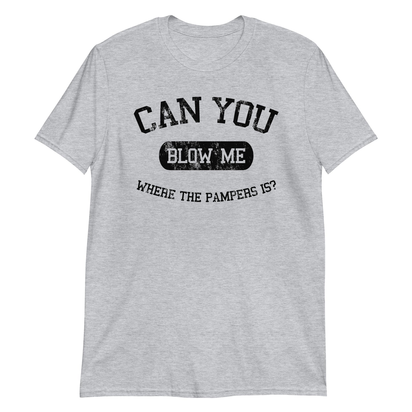 Can You Blow Me... t-shirt