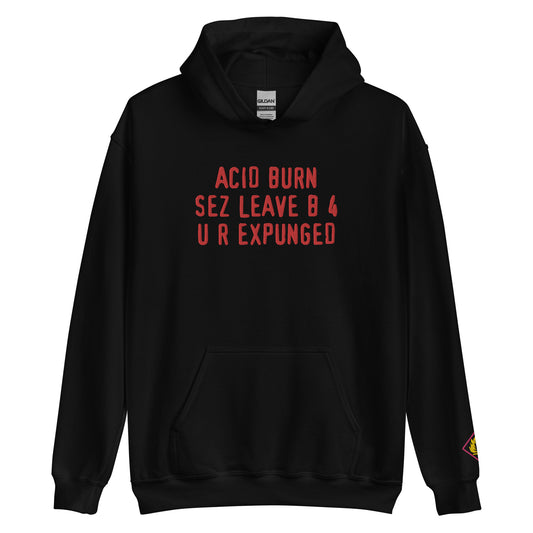 aCiD bUrN embroidered pullover hoodie